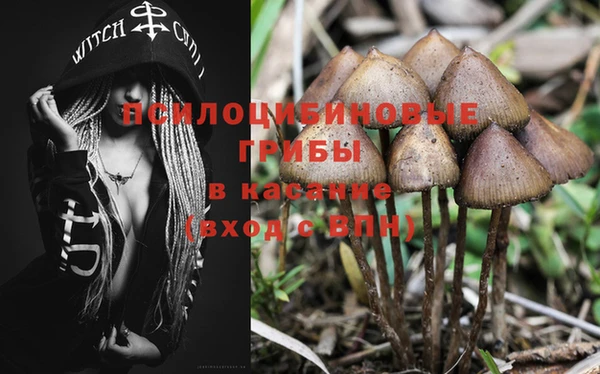 PSILOCYBIN Вязники